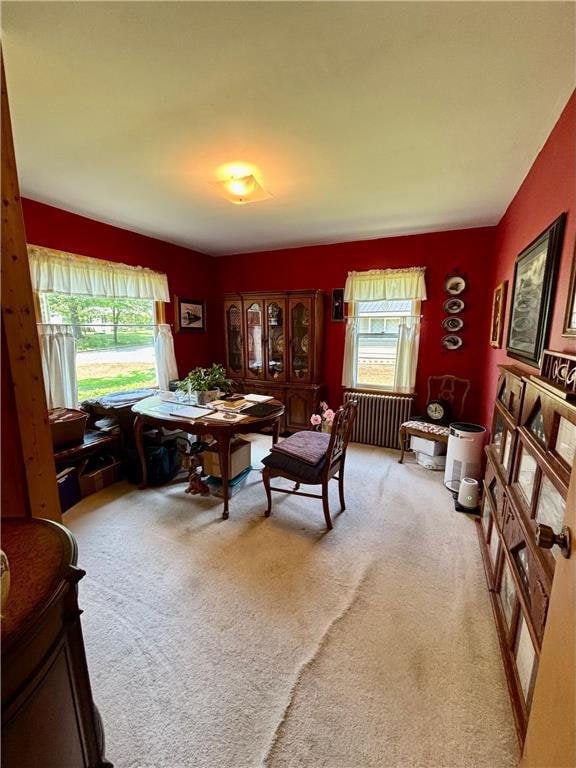306 Pleasant Ave, Frederic, WI 54837 - dining room with plenty of natural light and light colored carpet