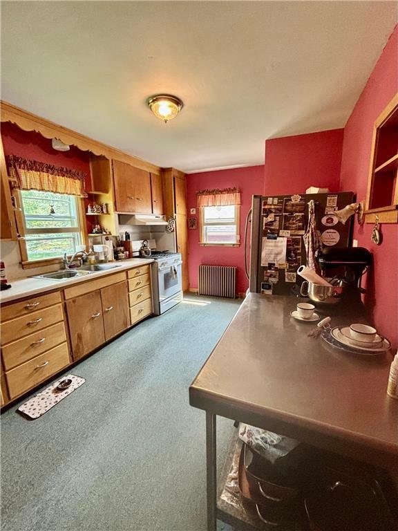 306 Pleasant Ave, Frederic, WI 54837 - kitchen with radiator heating unit, white gas stove, refrigerator, open shelves, and carpet