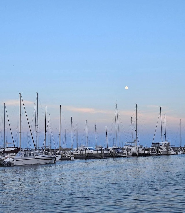 1633 N Prospect Ave Unit 18F, Milwaukee, WI 53202 - water view featuring a boat dock