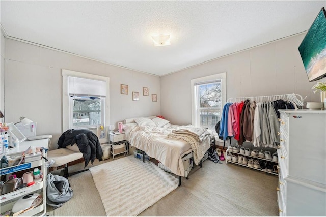 216 E Elm St, River Falls, WI 54022 - view of bedroom