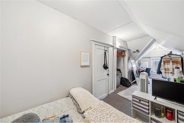 216 E Elm St, River Falls, WI 54022 - carpeted bedroom with lofted ceiling