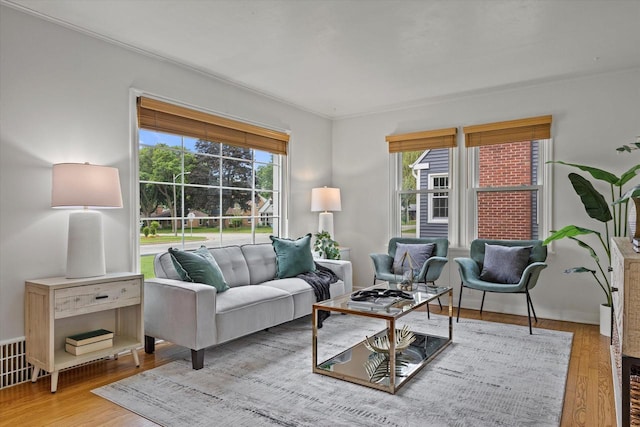 10836 W Fiebrantz Ave, Wauwatosa, WI 53222 - living room featuring healthy amount of natural light and wood finished floors