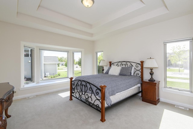 12907 78th Pl, Bristol, WI 53104 - bedroom featuring a tray ceiling and light colored carpet