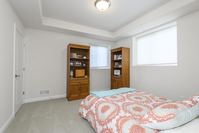 12907 78th Pl, Bristol, WI 53104 - bedroom with light carpet and a tray ceiling