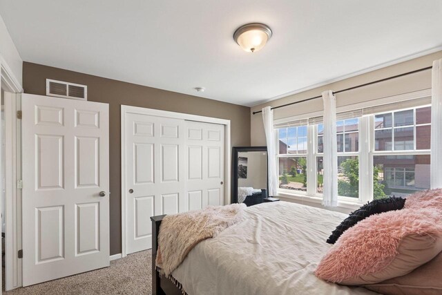 9414 Harvest Moon Ln, Verona, WI 53593 - bedroom with a closet and light carpet