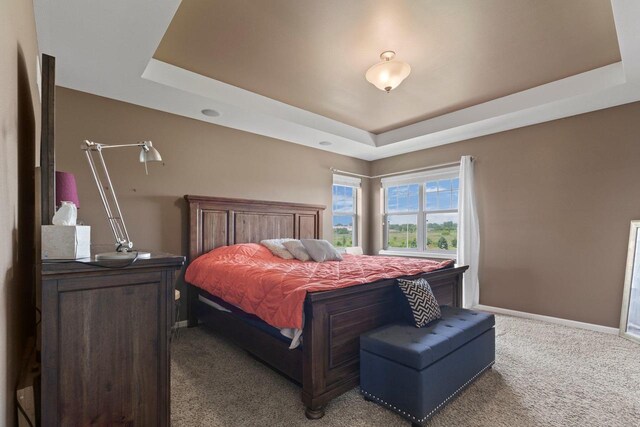 9414 Harvest Moon Ln, Verona, WI 53593 - bedroom with a raised ceiling and carpet floors