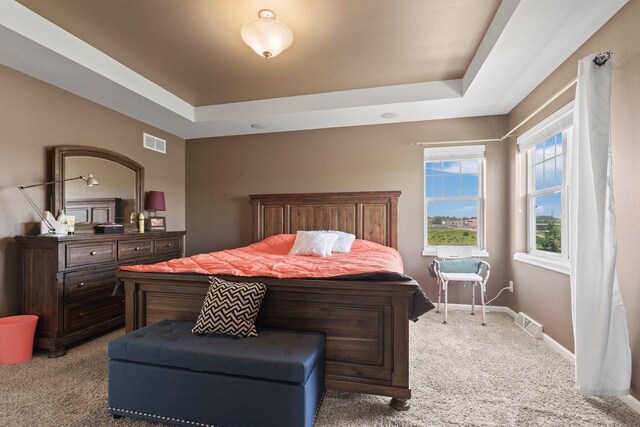 9414 Harvest Moon Ln, Verona, WI 53593 - bedroom with a raised ceiling and carpet