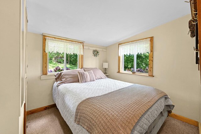9034 N County Road F, Edgerton, WI 53534 - bedroom with carpet and vaulted ceiling
