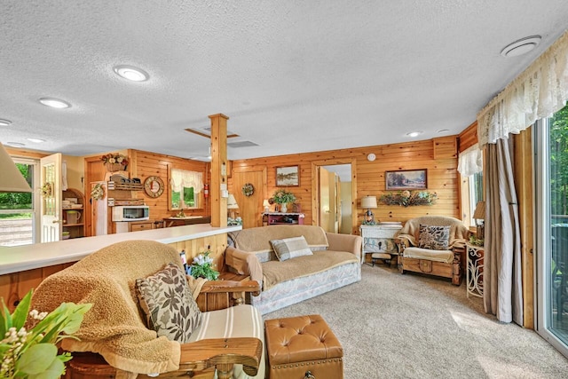 9034 N County Road F, Edgerton, WI 53534 - living area with a textured ceiling, light colored carpet, and wooden walls