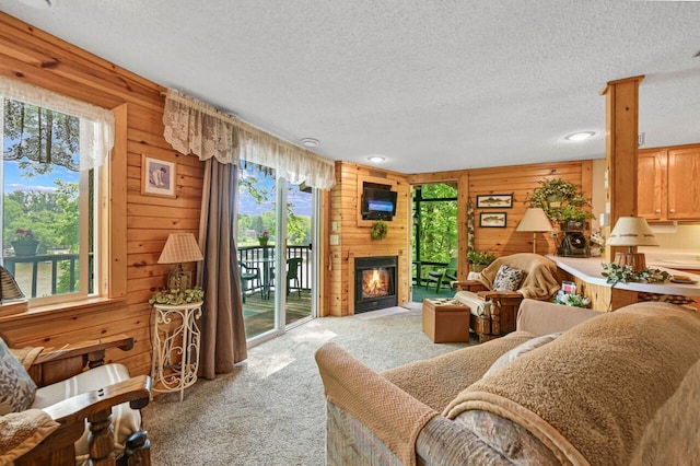 9034 N County Road F, Edgerton, WI 53534 - carpeted living room with a textured ceiling, wood walls, plenty of natural light, and a large fireplace