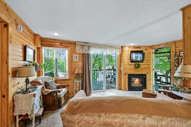 9034 N County Road F, Edgerton, WI 53534 - living area with a textured ceiling, plenty of natural light, a glass covered fireplace, and wooden walls