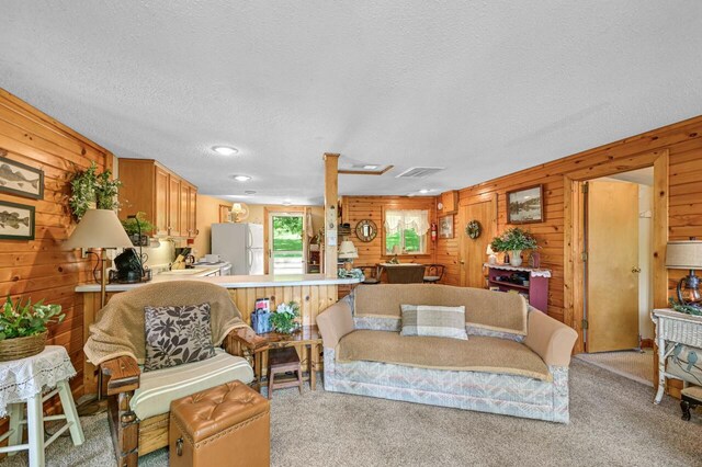 9034 N County Road F, Edgerton, WI 53534 - living area with wood walls, light carpet, and a textured ceiling