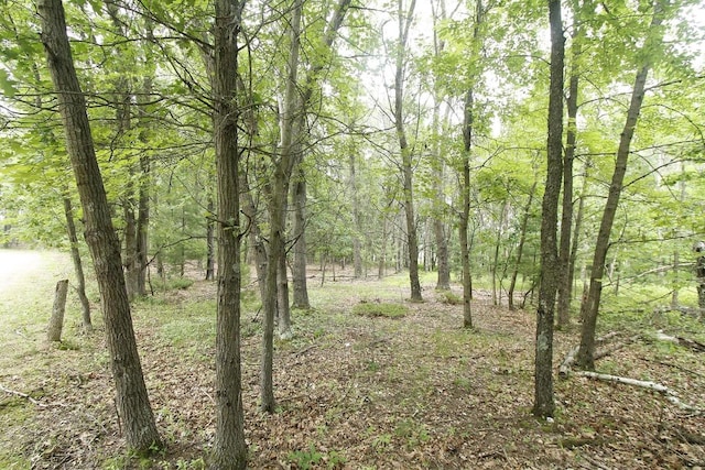 LOT1CSM2309 Deer Run, Montello, WI 53949