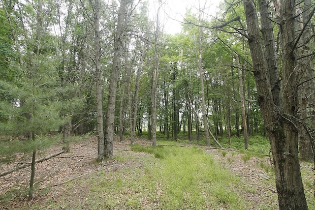 LOT1CSM2309 Deer Run, Montello, WI 53949