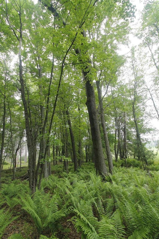 LOT1CSM2309 Deer Run, Montello, WI 53949