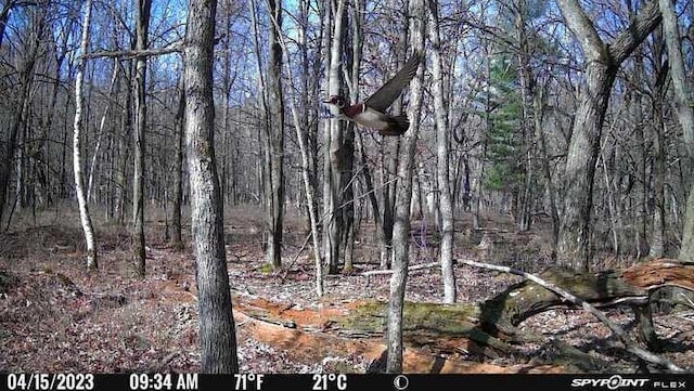 LOT1CSM2309 Deer Run, Montello, WI 53949