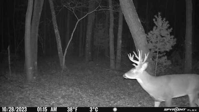 LOT1CSM2309 Deer Run, Montello, WI 53949