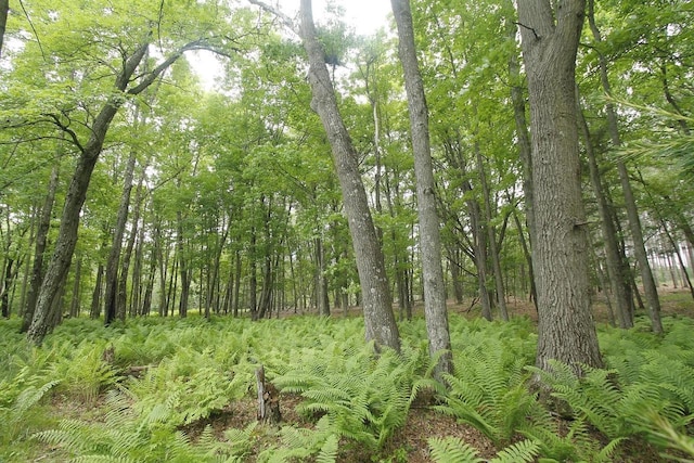 LOT1CSM2309 Deer Run, Montello, WI 53949