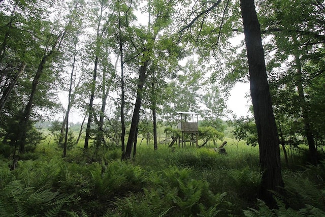 LOT1CSM2309 Deer Run, Montello, WI 53949