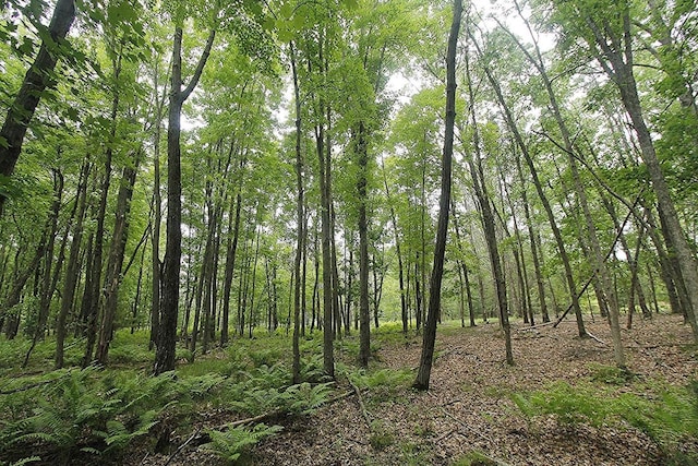 LOT1CSM2309 Deer Run, Montello, WI 53949