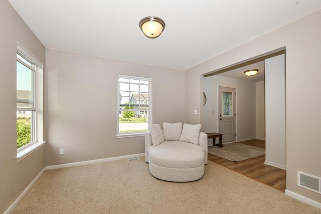 1557 Serena Ln, Burlington, WI 53105 - living area featuring carpet and wood finished floors