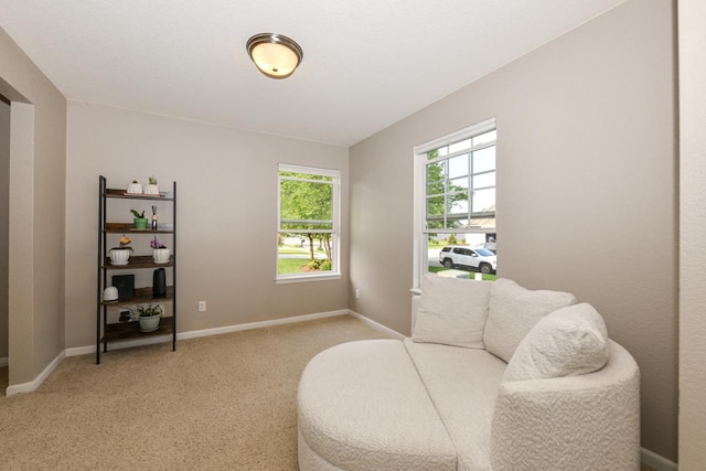 1557 Serena Ln, Burlington, WI 53105 - living area featuring baseboards and light carpet