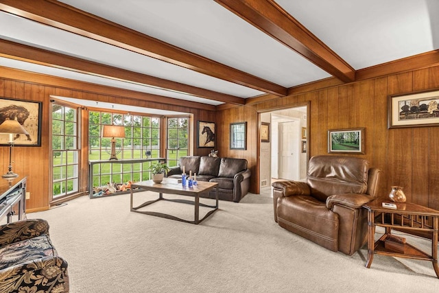 544 Maple Bluff Rd, Stevens Point, WI 54482 - carpeted living room featuring wooden walls and beamed ceiling