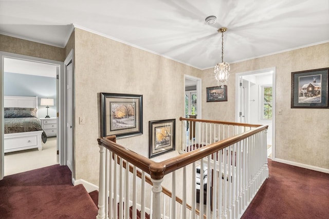 544 Maple Bluff Rd, Stevens Point, WI 54482 - hallway featuring carpet floors, an upstairs landing, plenty of natural light, and crown molding