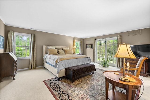 544 Maple Bluff Rd, Stevens Point, WI 54482 - bedroom featuring multiple windows and light colored carpet