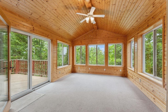N3045 Lakeview Dr, Montello, WI 53949 - unfurnished sunroom with wooden walls, vaulted ceiling, and carpet