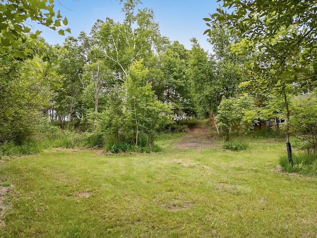 N3045 Lakeview Dr, Montello, WI 53949 - view of grassy yard