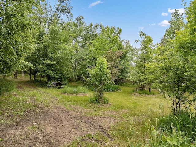 N3045 Lakeview Dr, Montello, WI 53949 - view of undeveloped land