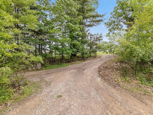 N3045 Lakeview Dr, Montello, WI 53949 - view of dirt / gravel road