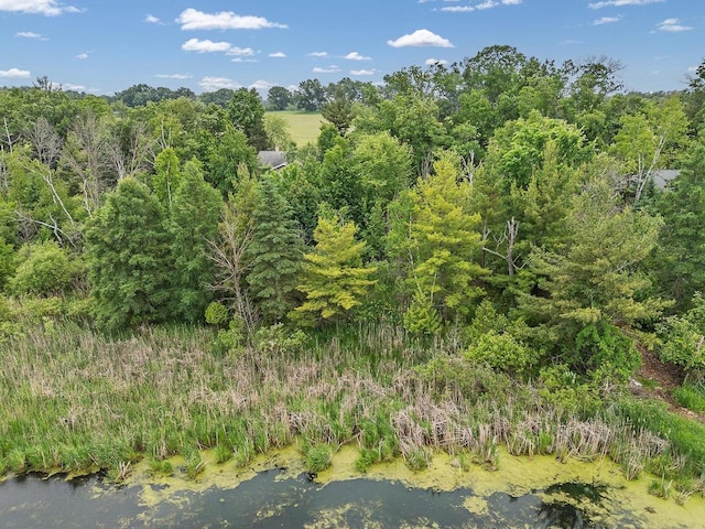 N3045 Lakeview Dr, Montello, WI 53949 - view of nature