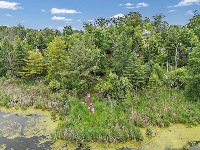 N3045 Lakeview Dr, Montello, WI 53949 - view of tree filled area