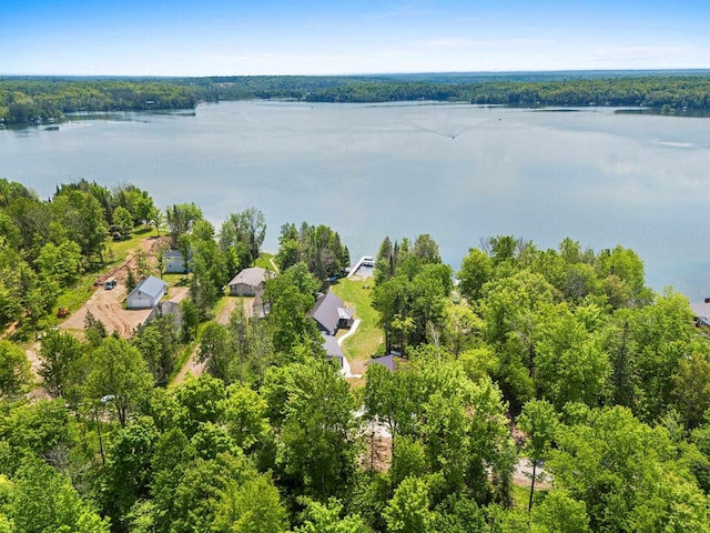 9071 Doemel Ln, Pickerel, WI 54465 - aerial view of a nearby body of water