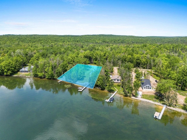 9071 Doemel Ln, Pickerel, WI 54465 - drone / aerial view of a heavily wooded area and a large body of water