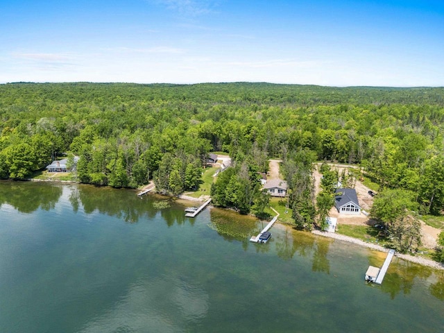 9071 Doemel Ln, Pickerel, WI 54465 - aerial overview of property's location featuring a forest and a nearby body of water