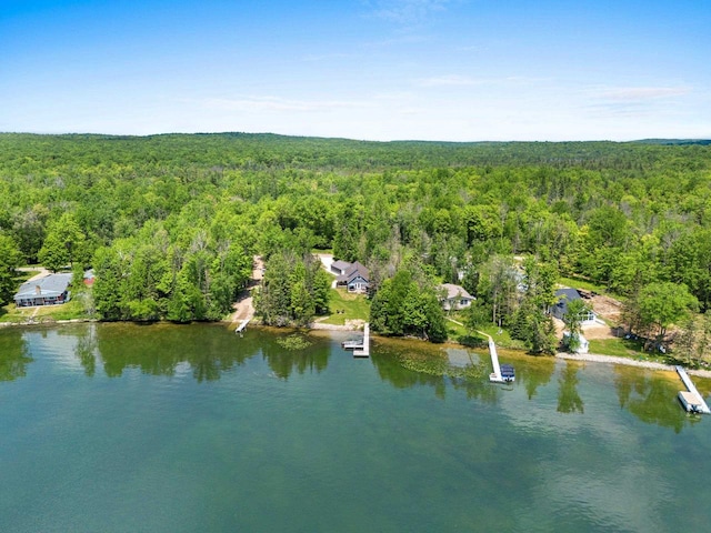 9071 Doemel Ln, Pickerel, WI 54465 - aerial view of property's location with a large body of water