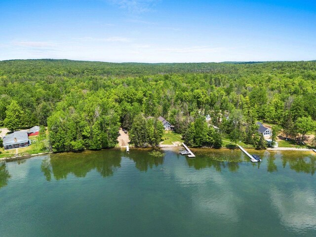 9071 Doemel Ln, Pickerel, WI 54465 - drone / aerial view of a forest and a large body of water