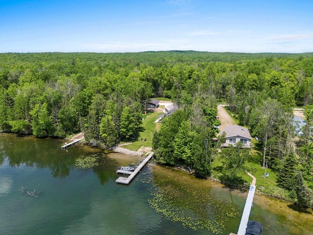 9071 Doemel Ln, Pickerel, WI 54465 - bird's eye view of a heavily wooded area and a large body of water