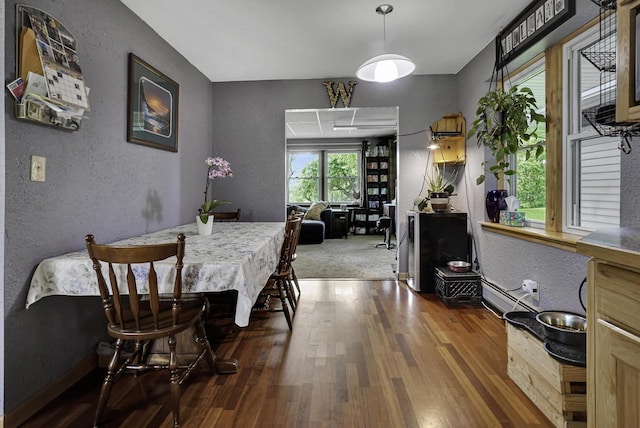 3933 Lovers Ln Unit 3935, 3937, 3939, 39, Slinger, WI 53086 - dining room featuring a textured wall, wood finished floors, and a baseboard heating unit