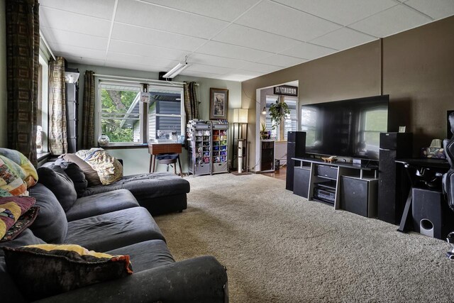 3933 Lovers Ln Unit 3935, 3937, 3939, 39, Slinger, WI 53086 - carpeted living area with a paneled ceiling