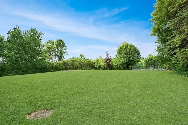 3933 Lovers Ln Unit 3935, 3937, 3939, 39, Slinger, WI 53086 - view of green lawn