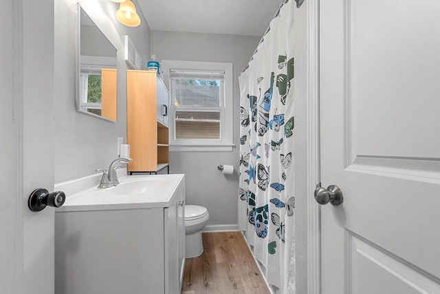 210 S Summit St, Appleton, WI 54914 - bathroom with vanity, plenty of natural light, wood finished floors, and a shower with curtain