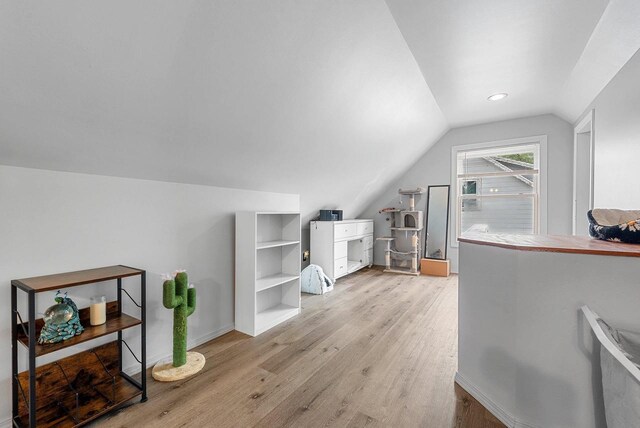 210 S Summit St, Appleton, WI 54914 - additional living space with vaulted ceiling and light wood-style floors