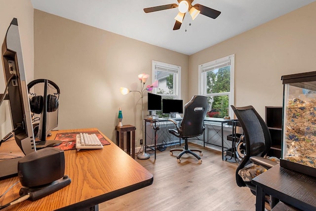 210 S Summit St, Appleton, WI 54914 - office space featuring a ceiling fan and wood finished floors