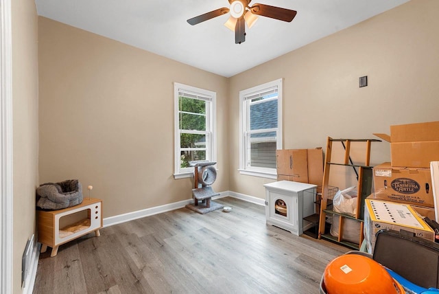 210 S Summit St, Appleton, WI 54914 - misc room with a ceiling fan and light wood-style flooring