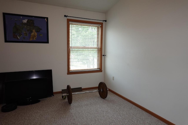 284 White Oak Ave Unit 8, Plover, WI 54467 - workout room featuring carpet floors and healthy amount of natural light