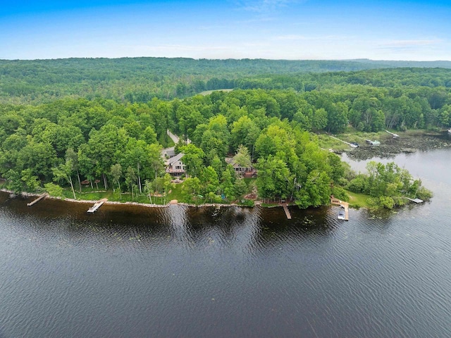 N5730 Parkway Rd, Pound, WI 54161 - drone / aerial view of a large body of water